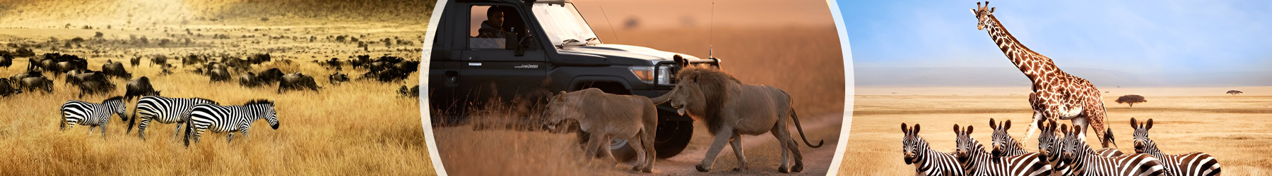 Safari in Kenya with All Inclusive Luxury Mauritius - 11 Nights