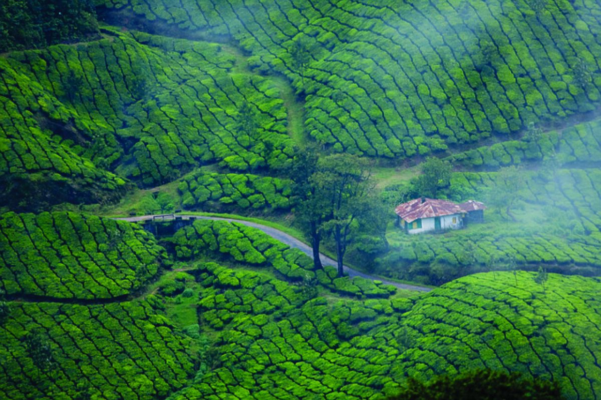 Escape to Kerala