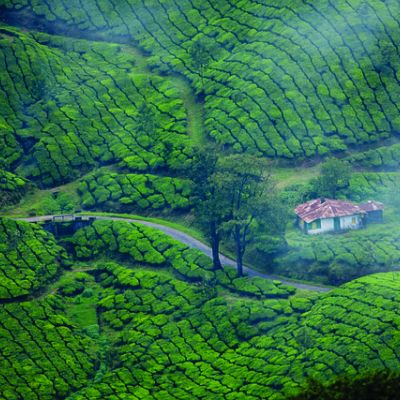 Escape to Kerala